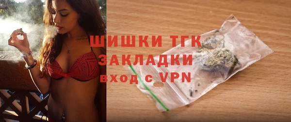 хмурый Алзамай