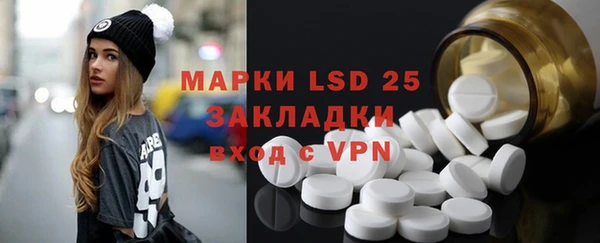 хмурый Алзамай