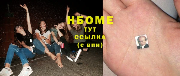 хмурый Алзамай