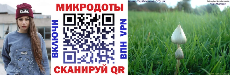 Галлюциногенные грибы Cubensis Любим